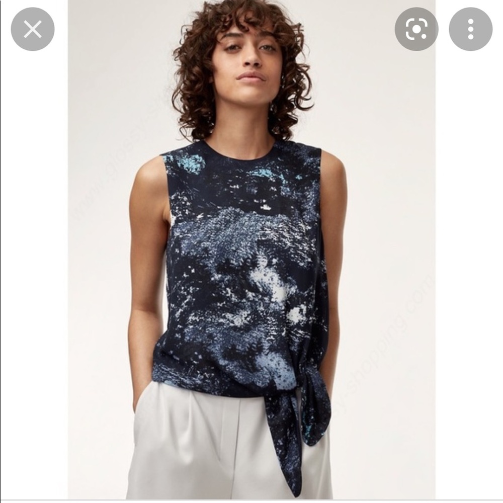 Aritzia Babaton Hopkins Blouse